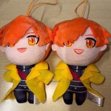 일상조 페인트 일상 락 피코누이