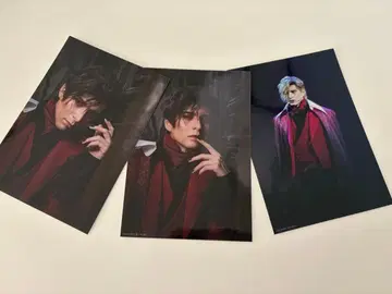 시로타 유 사진 3매 세트 TdV