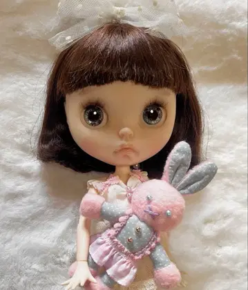 커스텀 브라이스 유명 작가님