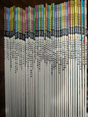 주간 비주얼 일본의 합전