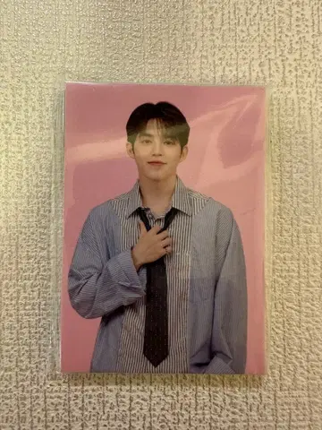 미개봉 세부치 holiday 트랙 자켓 트레이딩 카드 12장 컴플리트