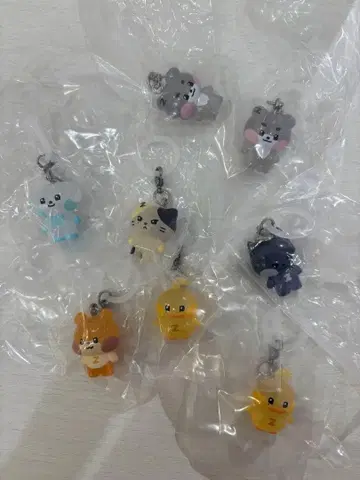 zeroni 메지루시 참