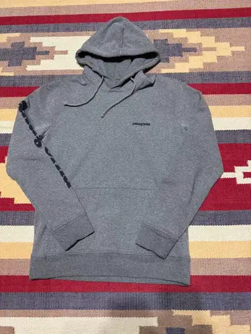 파타고니아 후드티