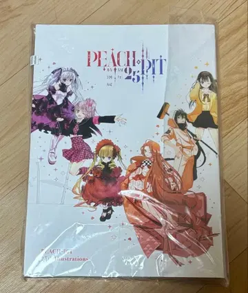 PEACH PIT 25주년 기념 특별전 화집 미개봉