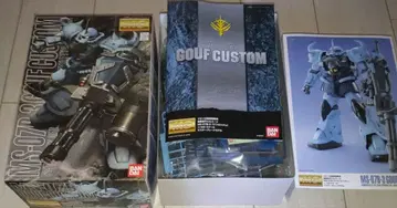 MG 1/100 구프 커스텀