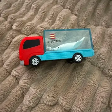 갓파스시 오징어 토미카