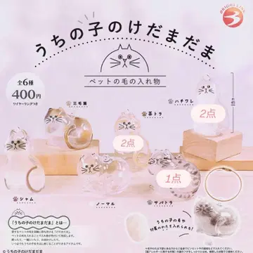 우리 아이 털뭉치