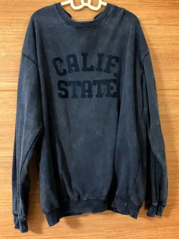 SCREEN STARS SLOBE 별주 펠트 로고 맨투맨