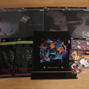 포켓몬 제일복권 메가진화