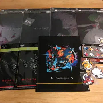 포켓몬 제일복권 메가진화