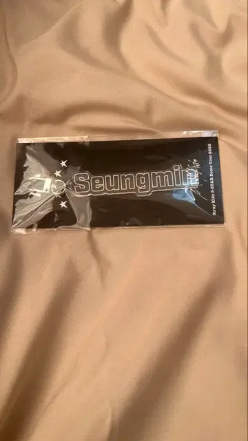 Stray Kids 승민 키링 2023