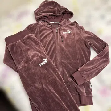 PUMA 셋업 저리 벨로아