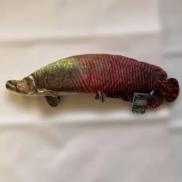 리얼 물고기 모양 봉제 인형 피라루크 약 70cm 사카나군 프로듀스