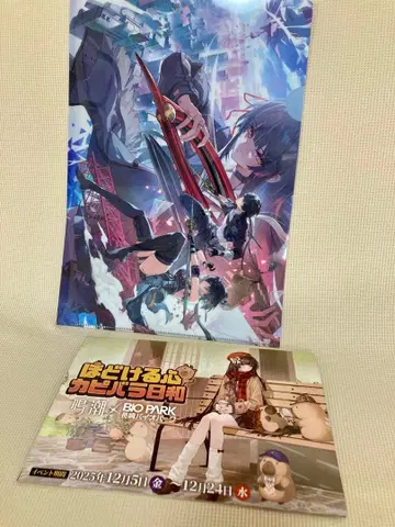 명조 클리어 파일과 팜플렛 나가사키 바이오 파크