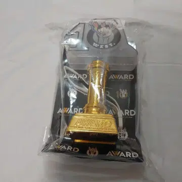 AWARD 응원봉 WEST.