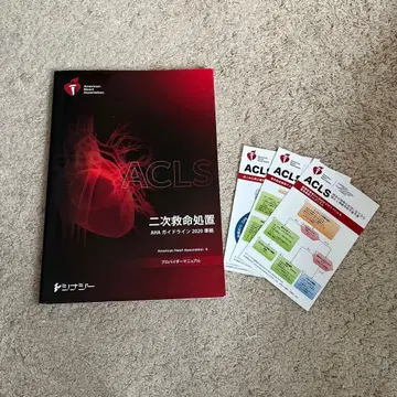 ACLS 프로바이더 매뉴얼 이차 구명 처치