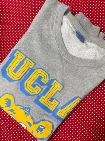 UCLA 맨투맨 트레이닝복 L 사이즈