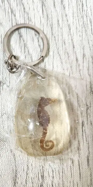 해마 키체인 리얼 레트로