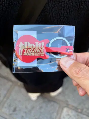 야자와 에이요시 일본 무도관 한정판 키링 새상품 YAZAWA Do It