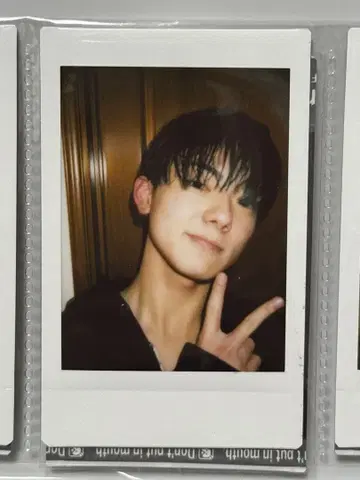 오다 이신 폴라로이드