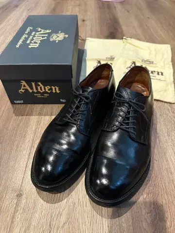 Alden 알든 53507 8 1/2D