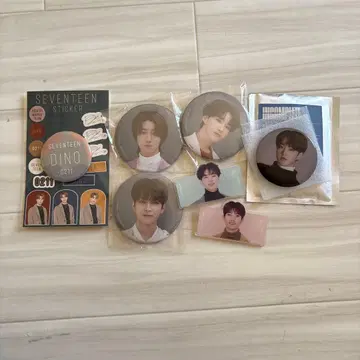 SEVENTEEN 캔뱃지 호시