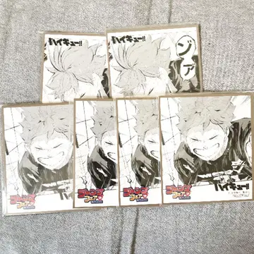 히나타 쇼요 점프 페스타 혜택