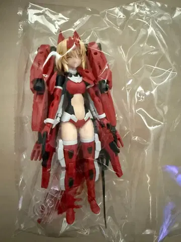 30MS SIS-Gc69r 아르카=카르테 ( 카르테폼 )