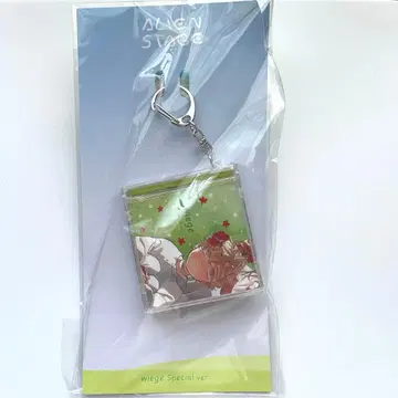 에이스테 루카 CD 키링