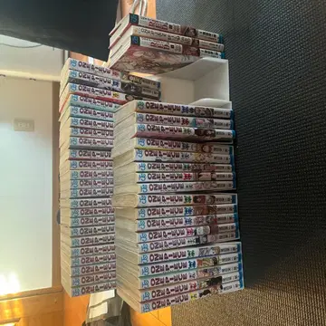 원피스 오다 에이치로