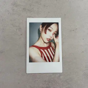 아이나 지 엔드 폴라로이드