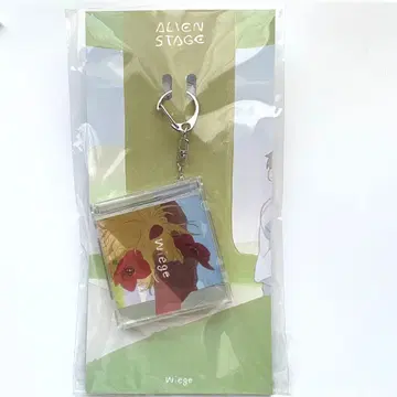 에이스테 루카 현아 CD 키링