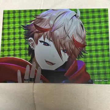 빅 카드 니지 페스티벌 세라프