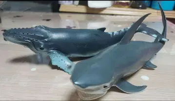 고래 상어 바다 생물 소프트 비닐 25cm