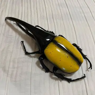 헤라클레스 장수풍뎅이 피규어