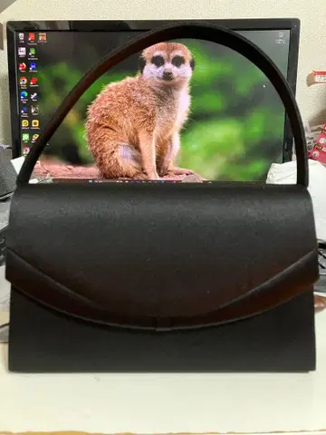 레스 빠세 핸드백 관혼상제 포멀