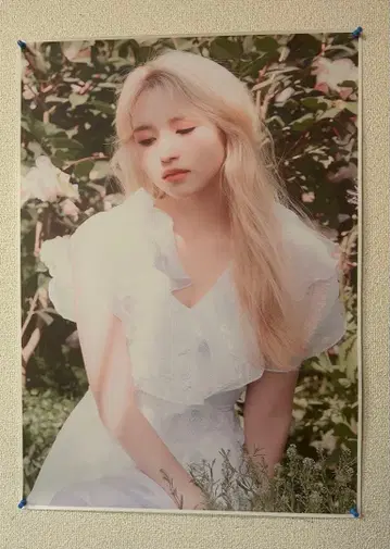 TWICE 미나 포스터