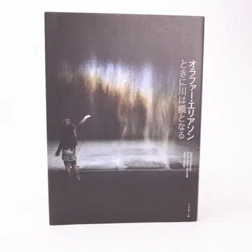 올라퍼 엘리아슨 때로는 강이 다리가 된다 필아트