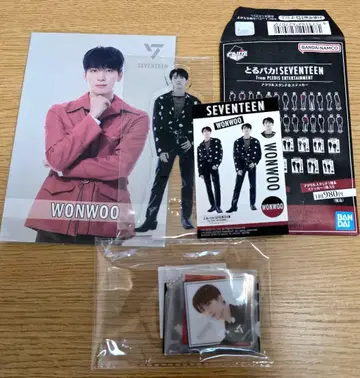 SEVENTEEN 원우 아크릴 스탠드 포토 카드 아크릴 키링 세트