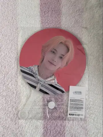 SEVENTEEN 정한 부채