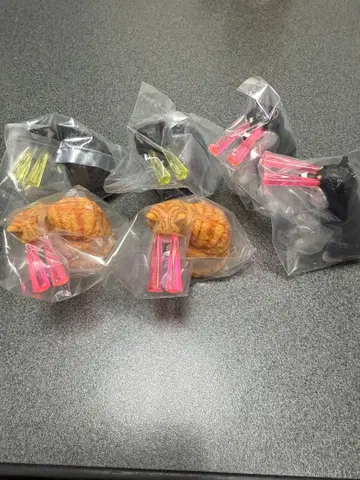 눈에서 Beam 새상품 가챠 INU NEKO 눈에서 빔 낱개 판매 가능