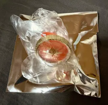 프로젝트 세카이 프로세카 세카라이 링 라이트 시노노메 아키토