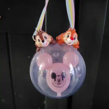 도쿄 디즈니 리조트 칩앤데일