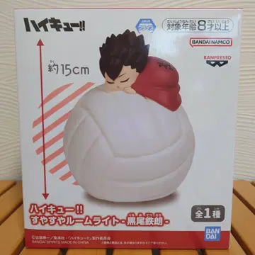 하이큐 수야수야 룸 라이트 쿠로오 테츠로