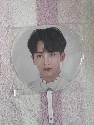 SEVENTEEN 정한 부채