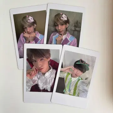 나나 크로니클 코무기 토라 하피카