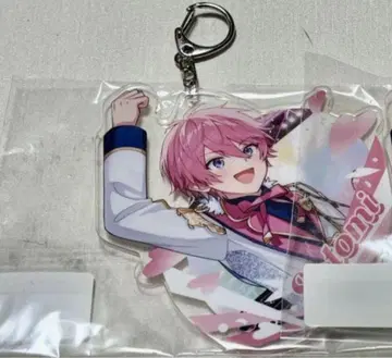 스토푸리 사토미 패밀리 복권 c상 빅 아크릴 키링