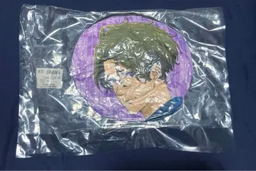 츠루네 이어지는 한 발 집에서 최애와 함께 후지와라 슈 카스미 적 쿠션