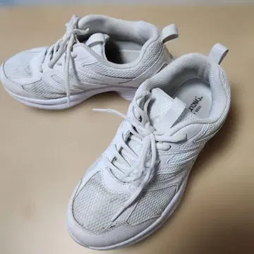 SPALDING 화이트 메쉬 통학용 스니커즈 사이즈 25cmEEEE