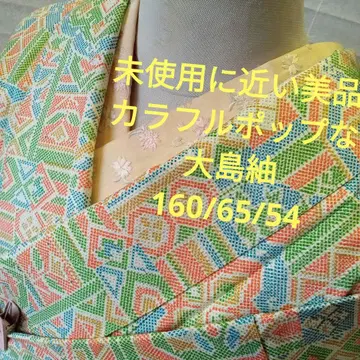 4645 미사용에 가까운 새상품급 컬러풀 오시마 명주 이중 기모노